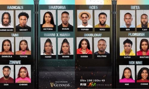 BBNaija Season 9 housemates