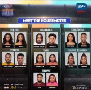 BBNaija 2024 housemates